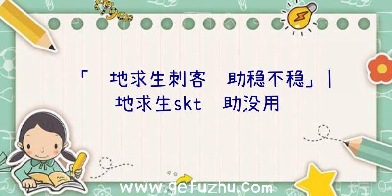 「绝地求生刺客辅助稳不稳」|绝地求生skt辅助没用